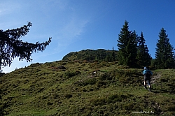 gaisberg-gaisbergjoch-19.jpg