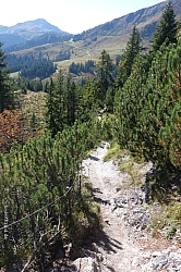 gaisberg-gaisbergjoch-37.jpg