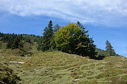 gaisberg-gaisbergjoch-42.jpg