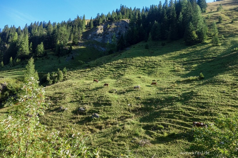 hahnenkampl-10.jpg