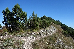 halserspitze-29.jpg