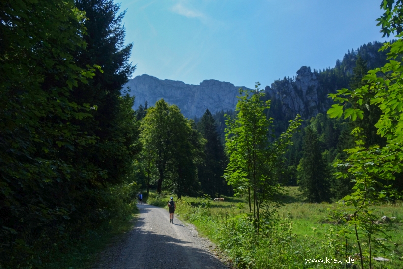 hennenkopf-probstenwand-10.jpg