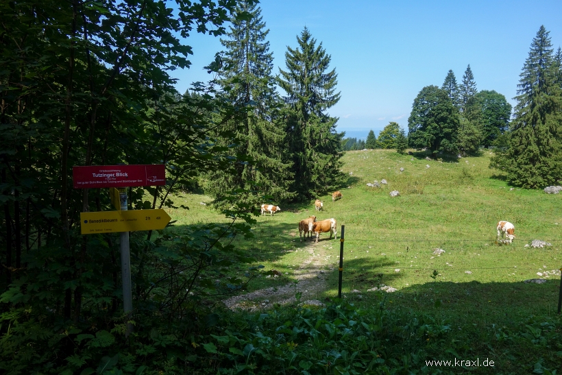 hennenkopf-probstenwand-11.jpg