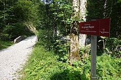 hennenkopf-probstenwand-05.jpg