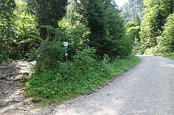 hennenkopf-probstenwand-12.jpg