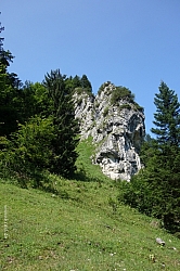 hennenkopf-probstenwand-13.jpg