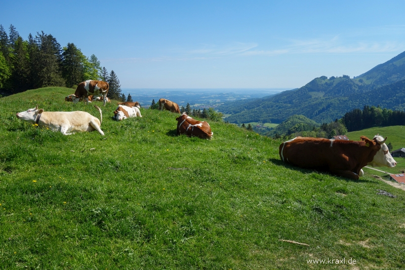 heuberg-013.jpg