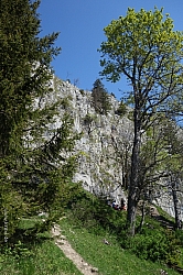 heuberg-018.jpg