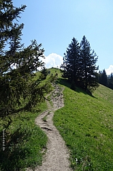 heuberg-026.jpg