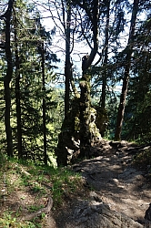 heuberg-030.jpg