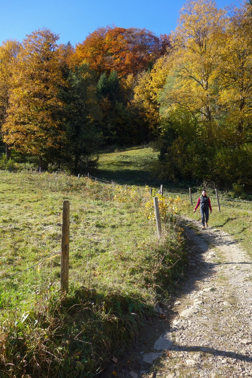 leonhardstein-039.jpg