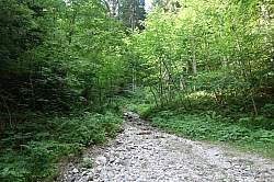 mallestiger-mittagskogel-005.jpg