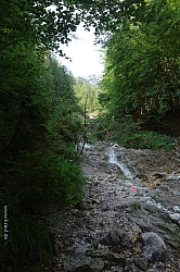 mallestiger-mittagskogel-020.jpg