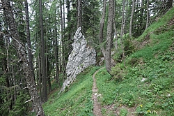 mallestiger-mittagskogel-052.jpg