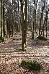 norissteig-017.jpg