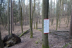 norissteig-057.jpg