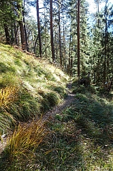 rauhenstein-13.jpg