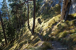 rauhenstein-35.jpg