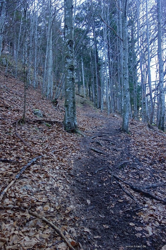 sonnwendwand-004.jpg