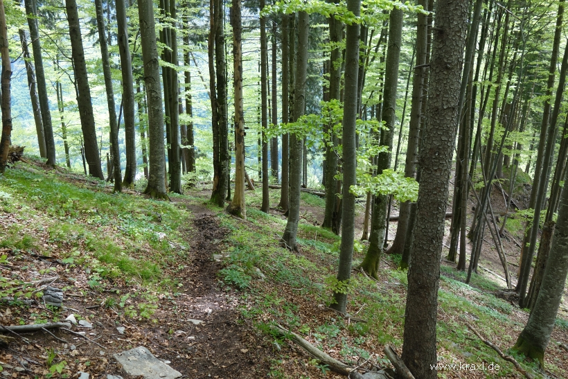 zinnberg-spitzstein-013.jpg