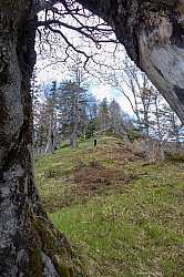 zinnberg-spitzstein-021.jpg