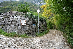 cima-capi-fausto-susatti-004.jpg