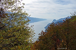 cima-nara-cima-al-bal-019.jpg