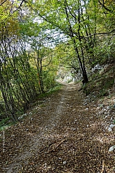 cima-nara-cima-al-bal-020.jpg