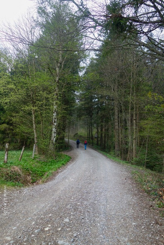 illig-roetelstein-01.jpg