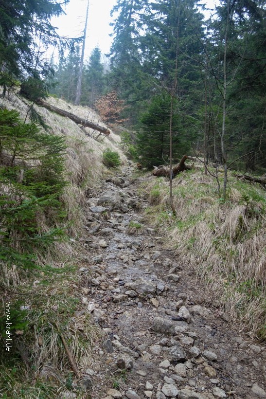 illig-roetelstein-07.jpg