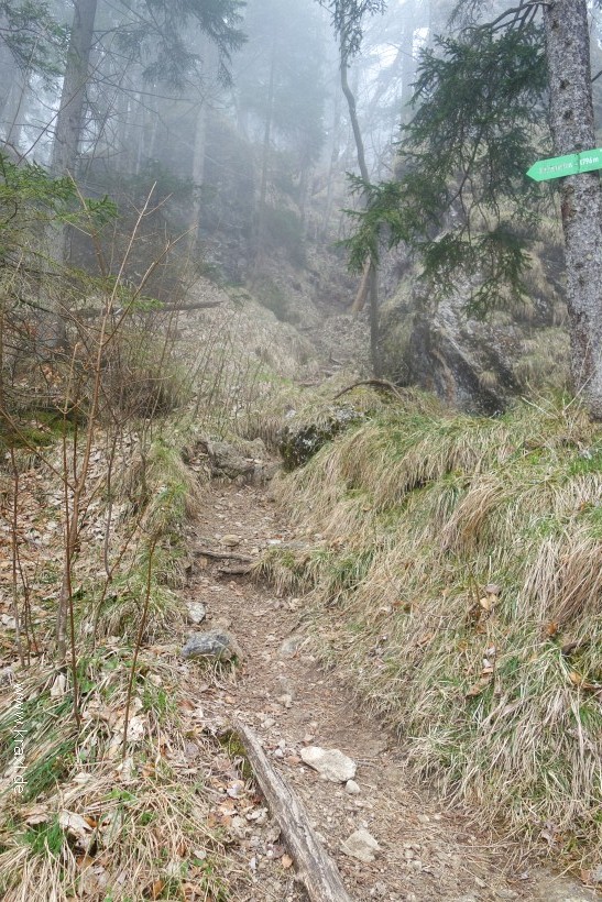 illig-roetelstein-13.jpg