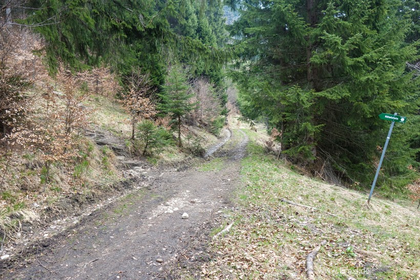 illig-roetelstein-40.jpg