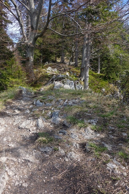 illig-roetelstein-52.jpg
