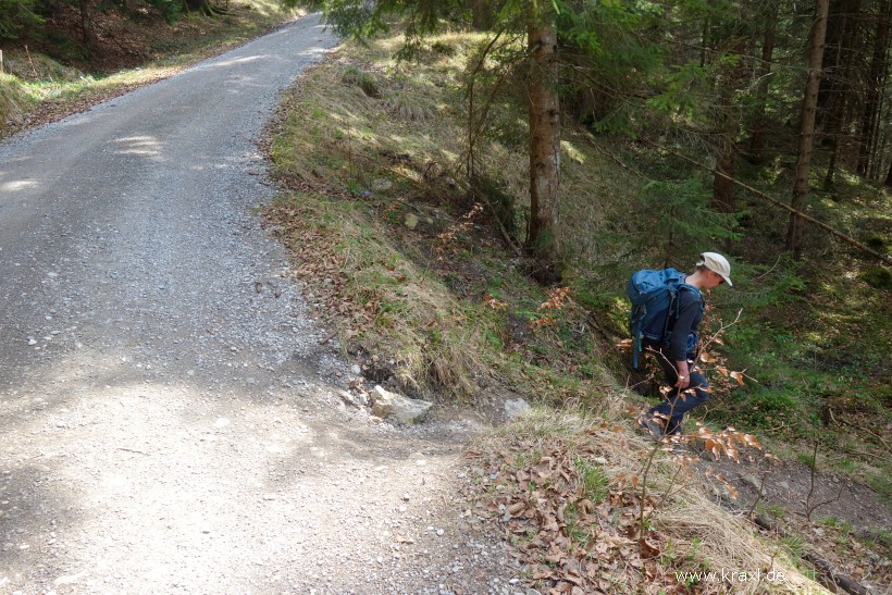 illig-roetelstein-54.jpg