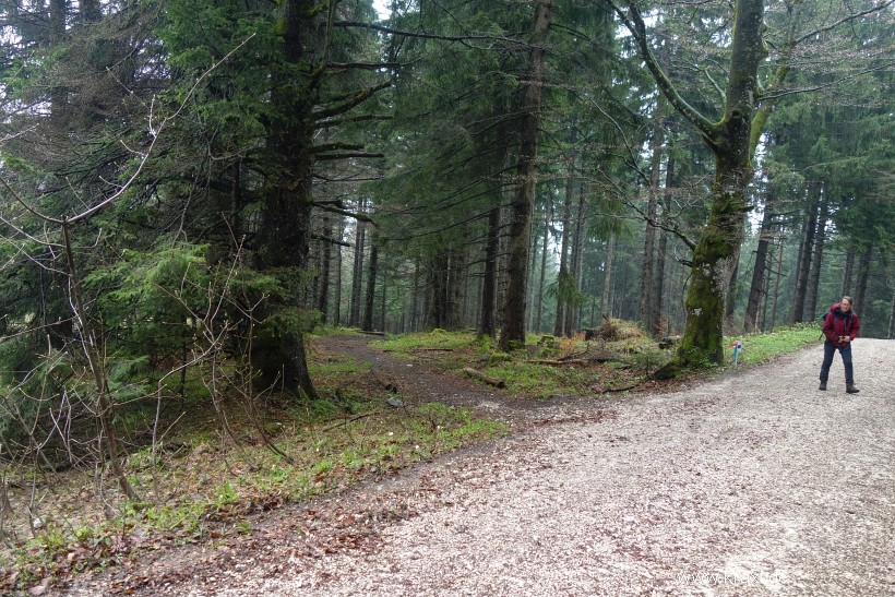 hochplatte-haberspitz-friedenrath-050.jpg