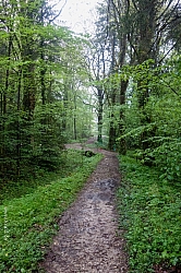 hochplatte-haberspitz-friedenrath-004.jpg