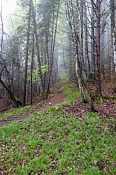 hochplatte-haberspitz-friedenrath-009.jpg