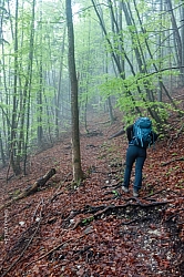 hochplatte-haberspitz-friedenrath-010.jpg