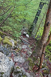 hochplatte-haberspitz-friedenrath-012.jpg