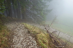 hochplatte-haberspitz-friedenrath-033.jpg