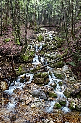 hochplatte-haberspitz-friedenrath-054.jpg