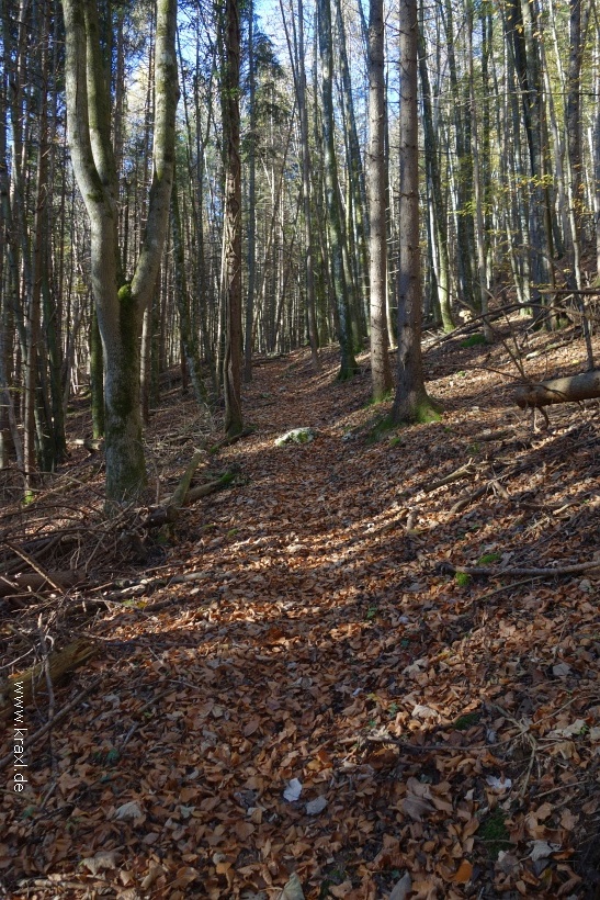 hochplatte-haberspitz-friedenrath-012.jpg