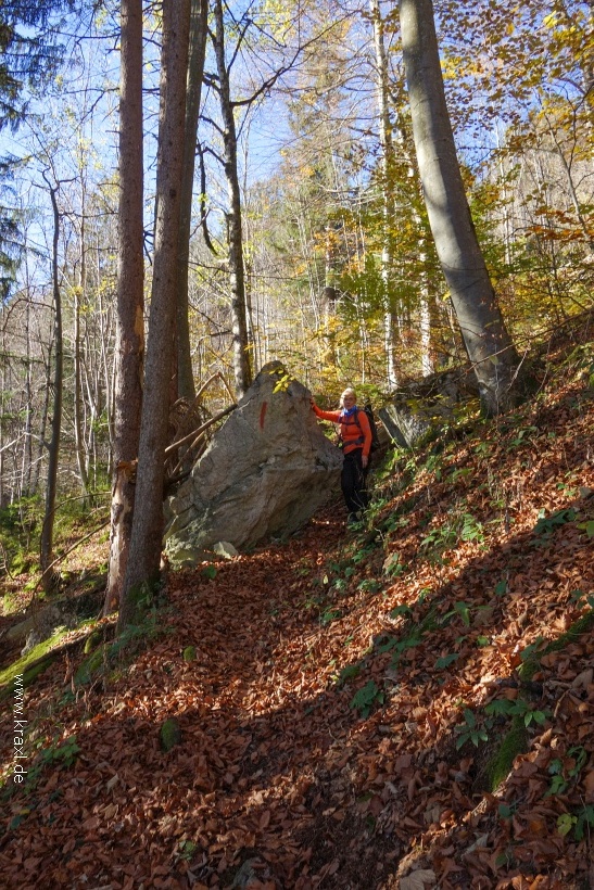 hochplatte-haberspitz-friedenrath-014.jpg