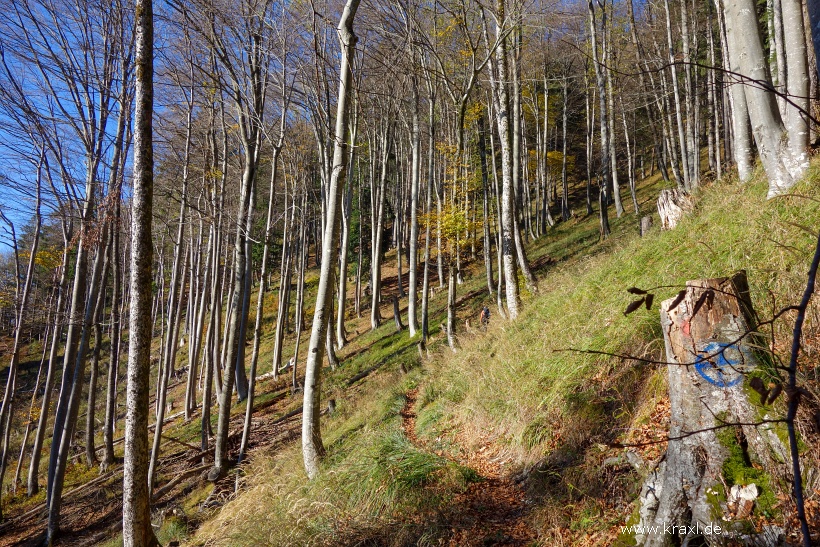 hochplatte-haberspitz-friedenrath-018.jpg