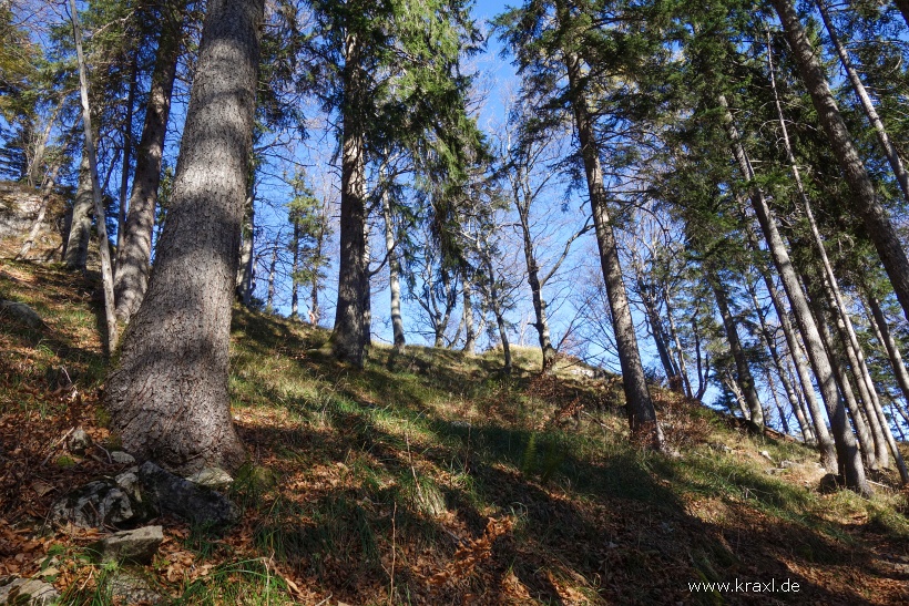 hochplatte-haberspitz-friedenrath-022.jpg