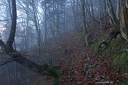 hochplatte-haberspitz-friedenrath-009.jpg