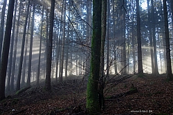 hochplatte-haberspitz-friedenrath-011.jpg