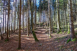 hochplatte-haberspitz-friedenrath-013.jpg