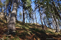 hochplatte-haberspitz-friedenrath-022.jpg