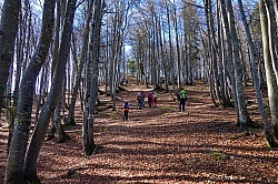 hochplatte-haberspitz-friedenrath-025.jpg